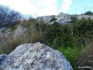 Collina san Liu